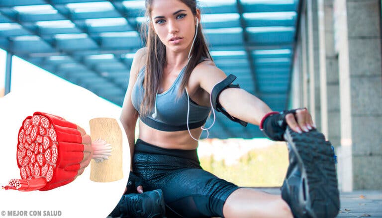 Reflejo osteotendinoso