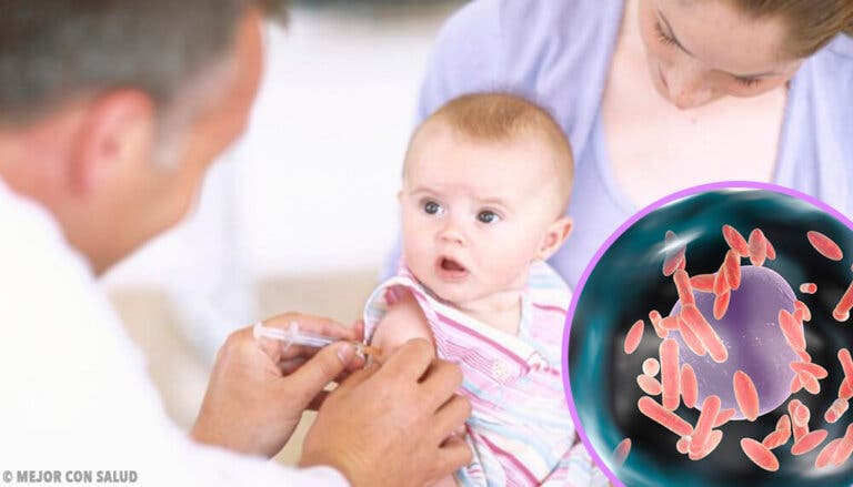 Tratamiento de la tos ferina