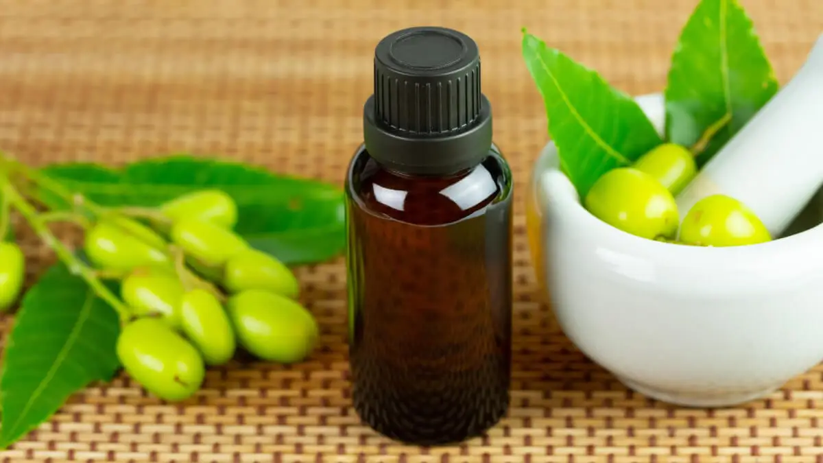 Aceite de neem.
