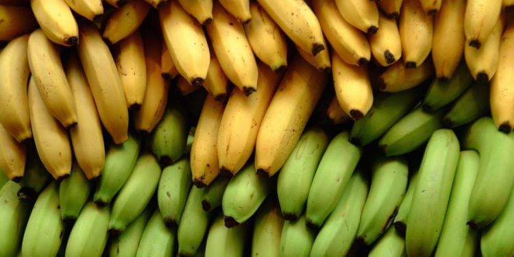 3 diferencias nutricionales entre la banana y el plátano
