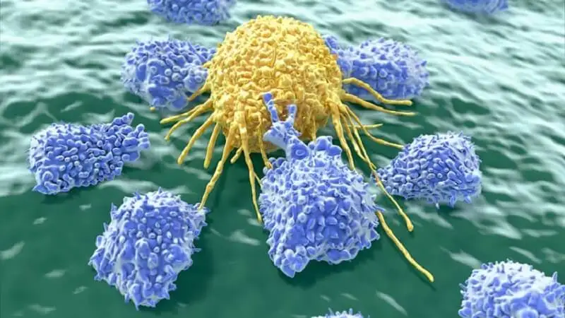 cancerigeno