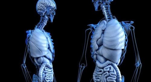 9 cosas del cuerpo humano que probablemente no sabías