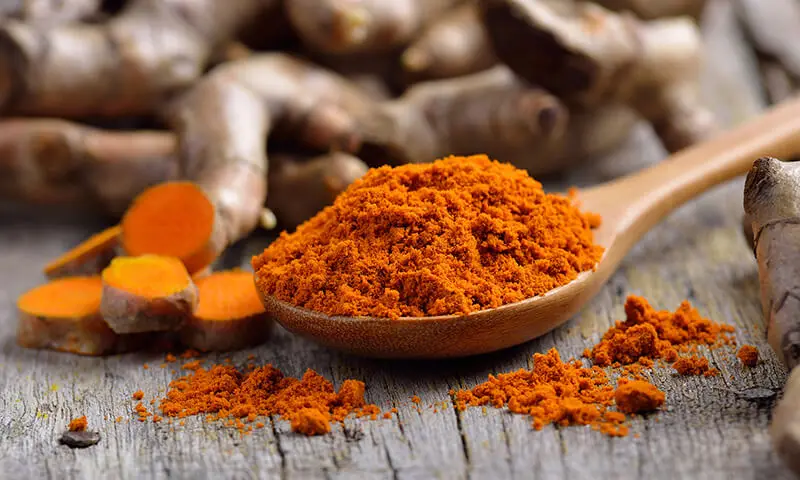 pile of fresh turmeric roots on wooden table