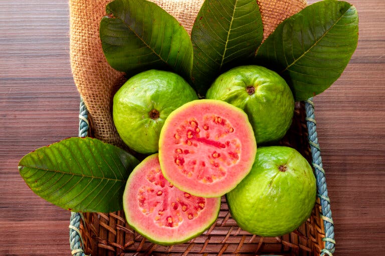 Guayaba