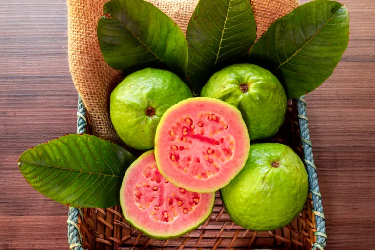 Guayaba