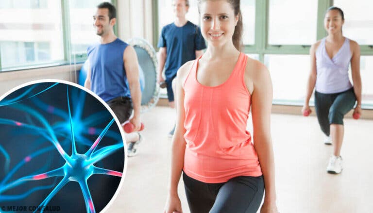 6 hábitos recomendados para regenerar las neuronas
