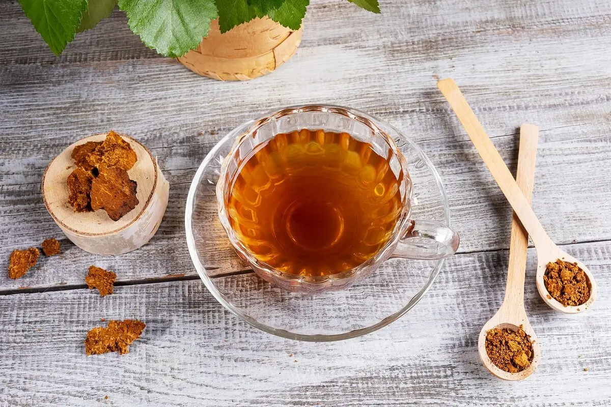 Infusión de abedul.