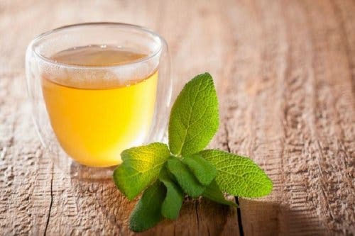 Infusión de salvia como astringente casero