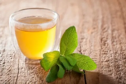 Infusión de salvia como astringente casero