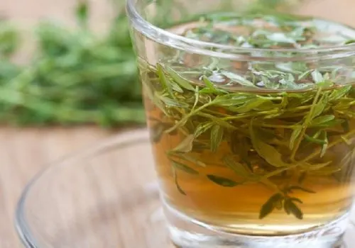 Infusión de tomillo