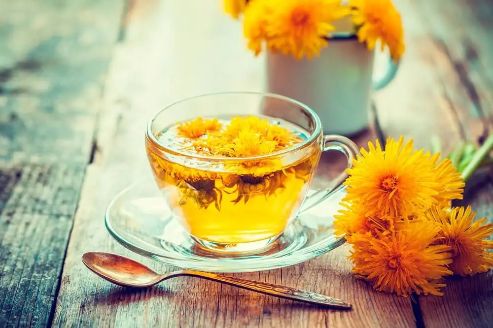 Infusion de pissenlit.