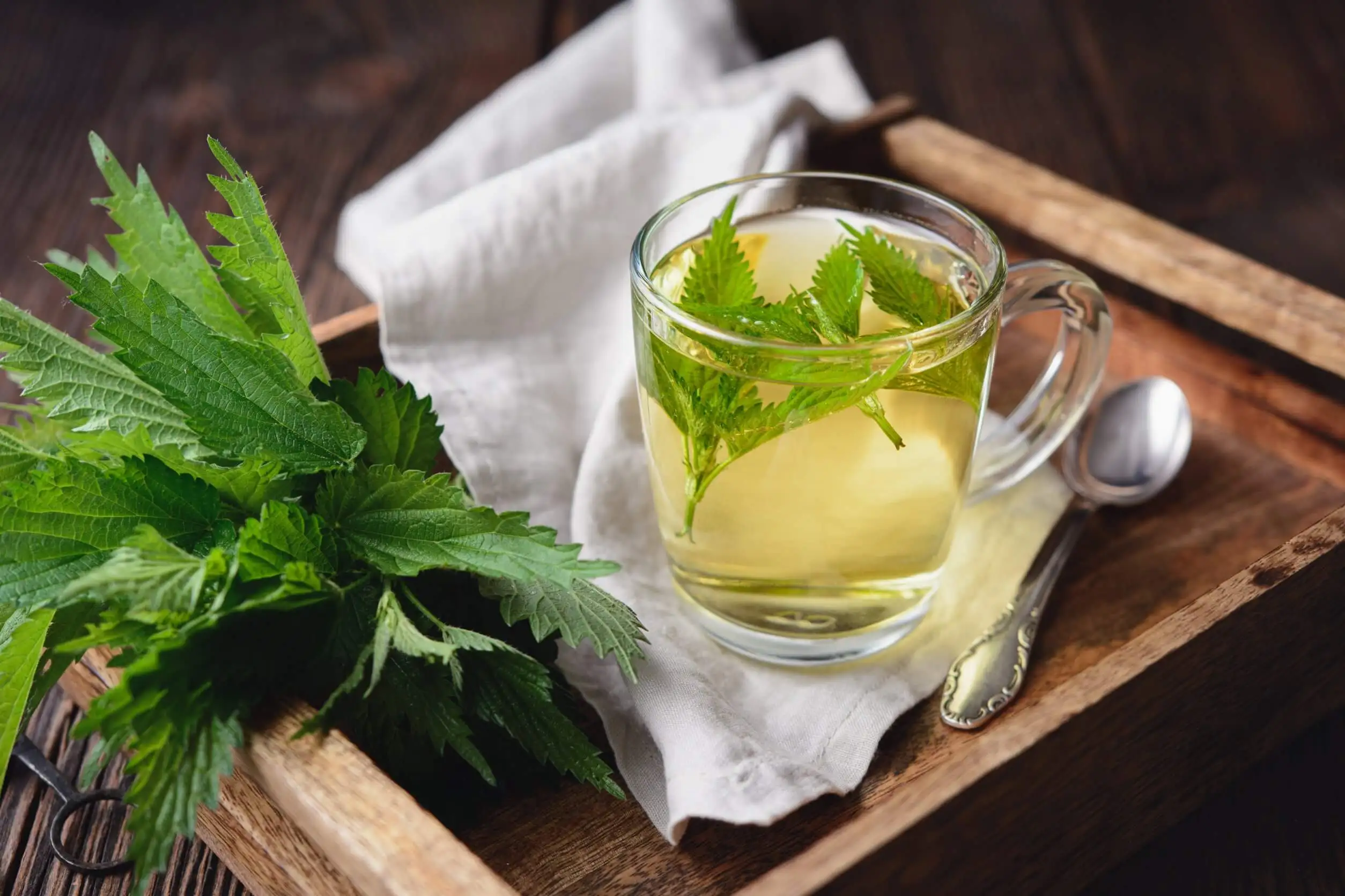 Té de ortiga