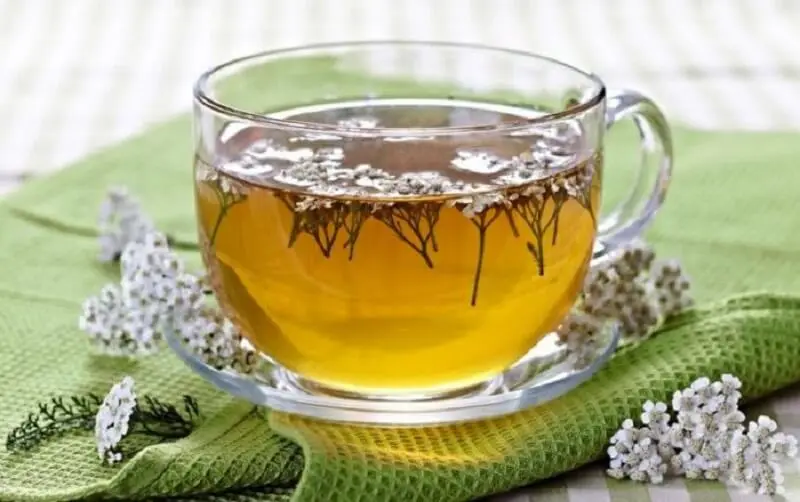 чай от бял равнец