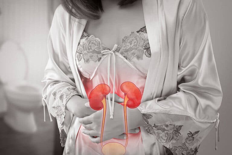 Insuficiencia renal crónica