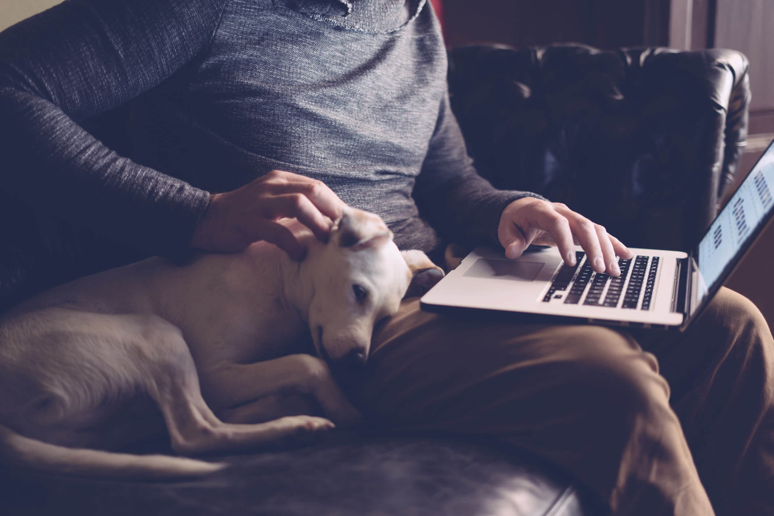 El amor no se busca por redes sociales, a pesar de que existan historias de éxito.