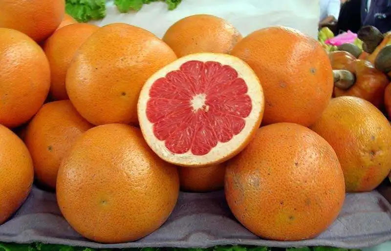 Pomelo perfecto para tu dieta.