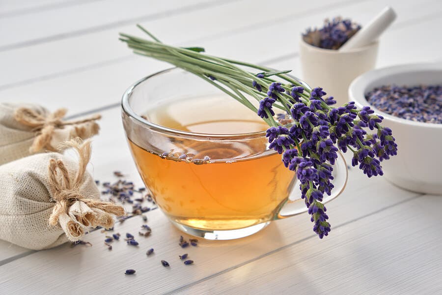 Taza de té de lavanda
