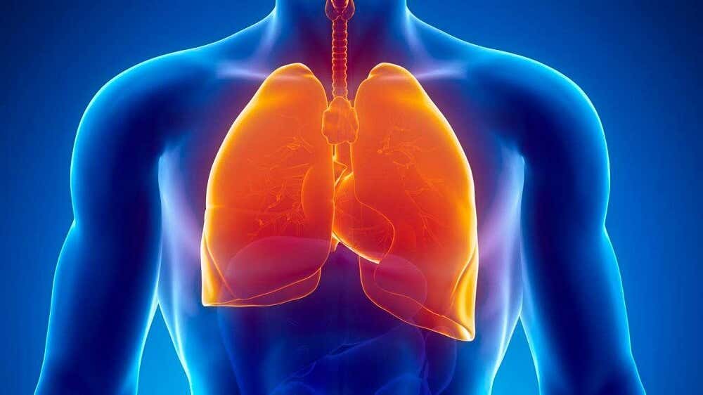 La tuberculosis puede causar sudoración nocturna