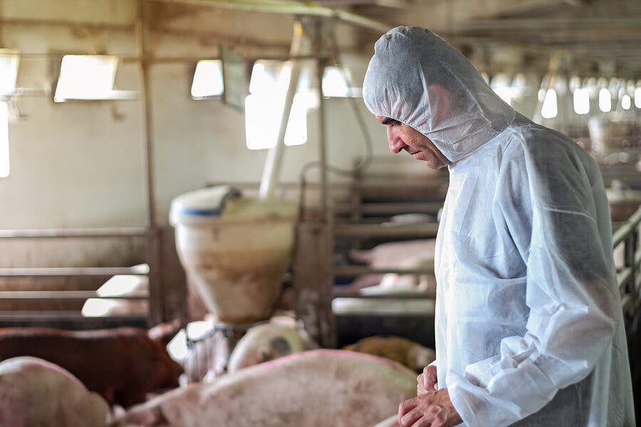 Fazenda de produção de alimentos