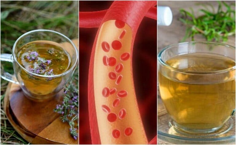 5 infusiones herbales para limpiar las arterias naturalmente