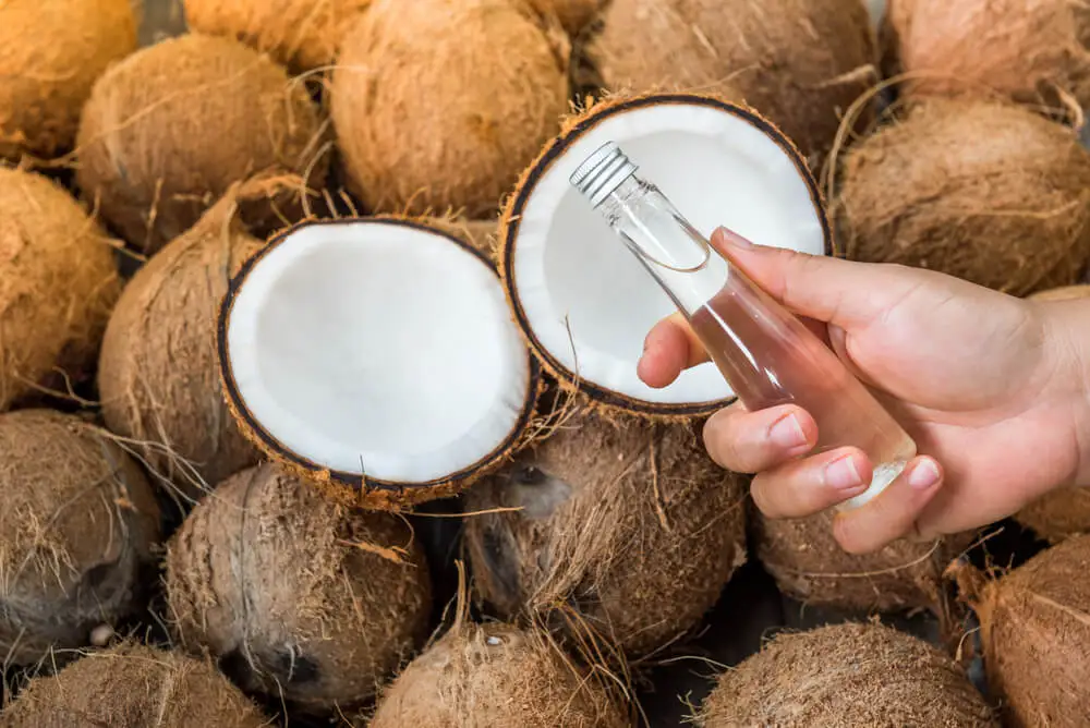 Aceite de coco caliente para el cabello.