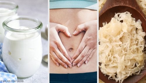 Alimentos probióticos para tu flora intestinal