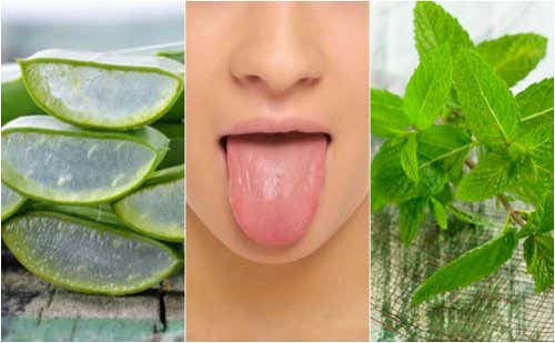 Alivia las ampollas en la lengua con 6 tratamientos de origen natural