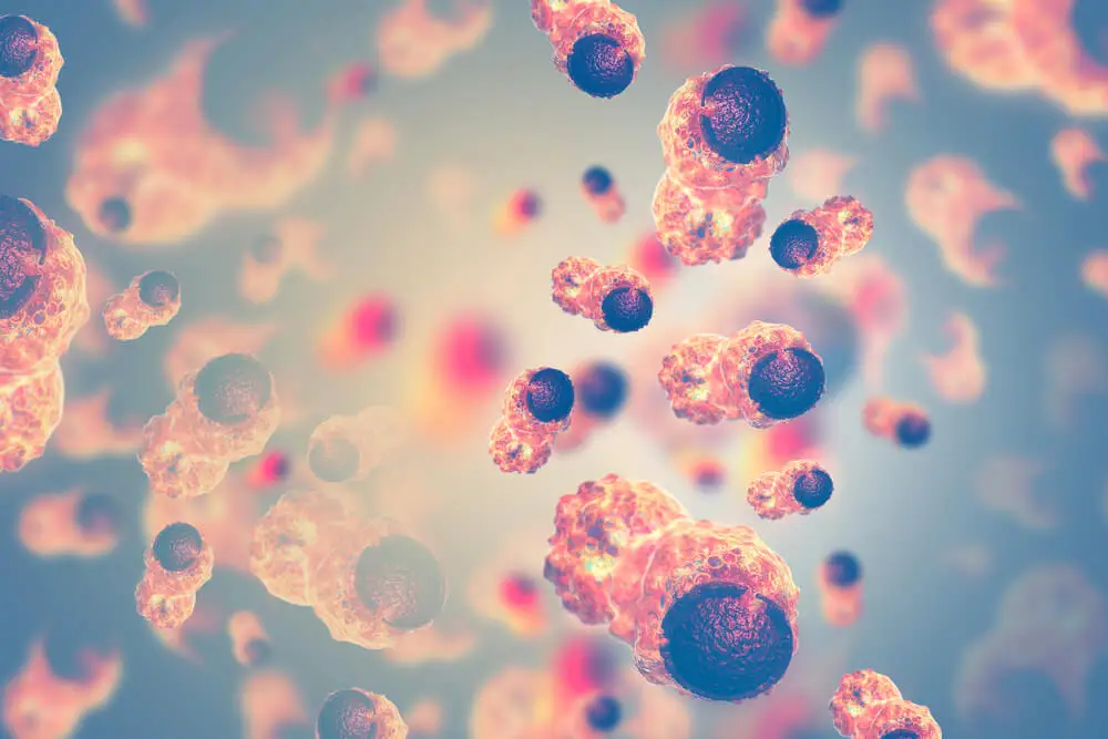 Angiogénesis y cáncer