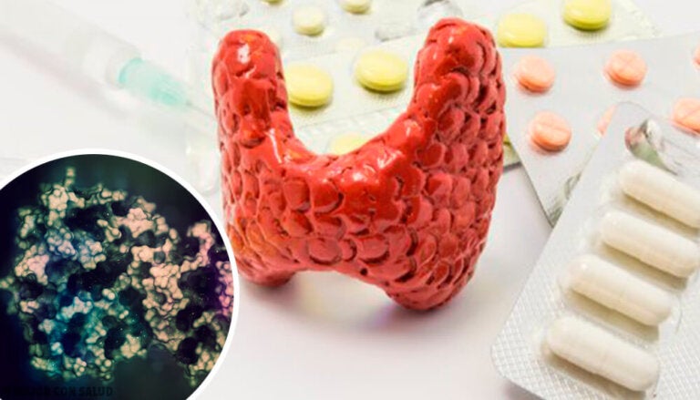 Calcitonina: qué es y cómo actúa