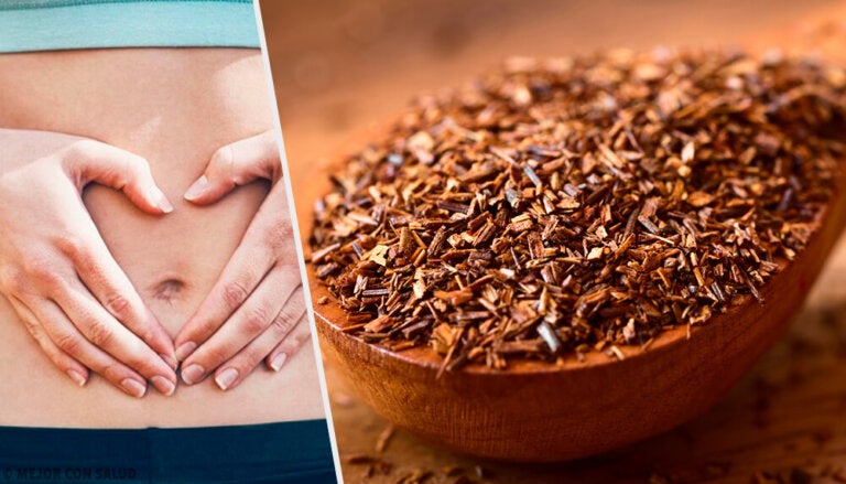 Formas de preparar el té de rooibos para realizar bien la digestión