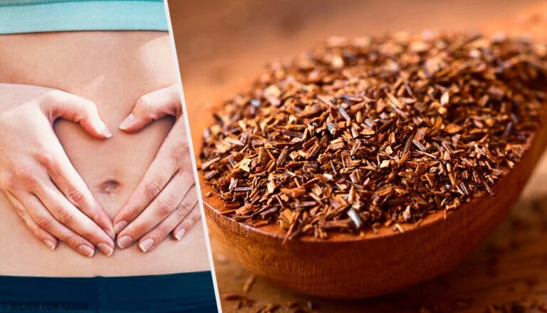 Formas de preparar el té de rooibos para realizar bien la digestión