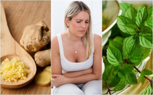 5 remedios naturales para la gastroenteritis