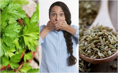 Cómo combatir la halitosis estomacal con 5 remedios de origen natural