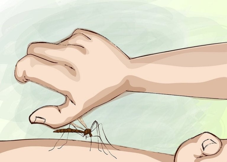 ¿Cómo evitar las picaduras nocturnas de los mosquitos?