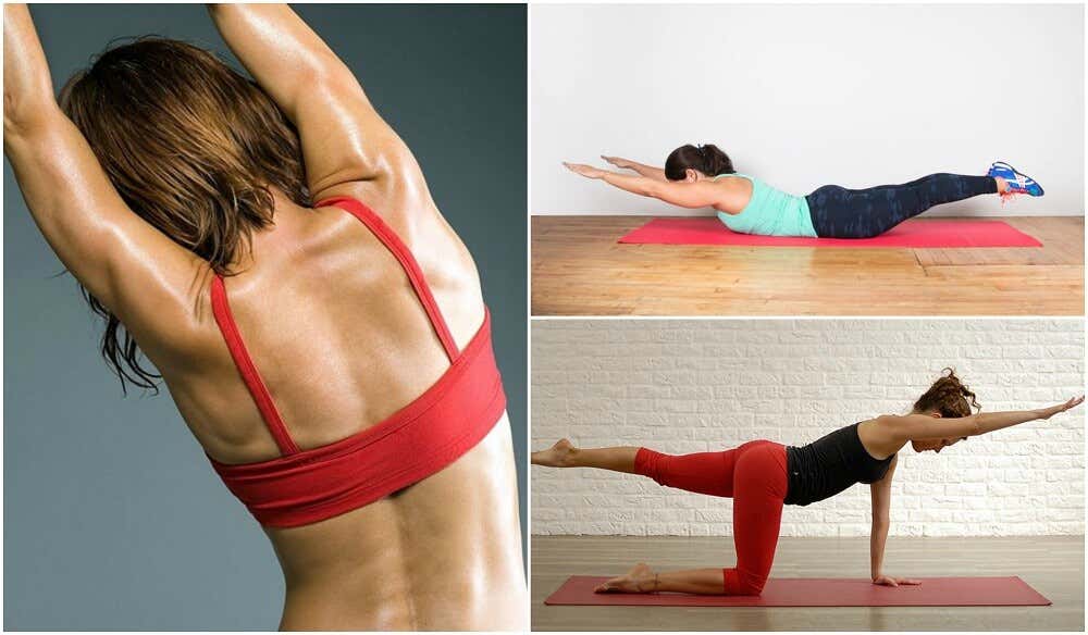 Cómo hacer 5 ejercicios sin pesas para la espalda
