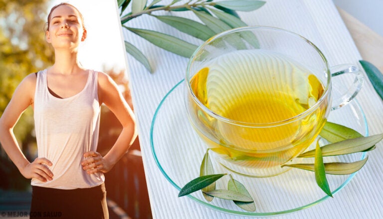 Descubre todos los beneficios de la hoja de olivo para tu salud