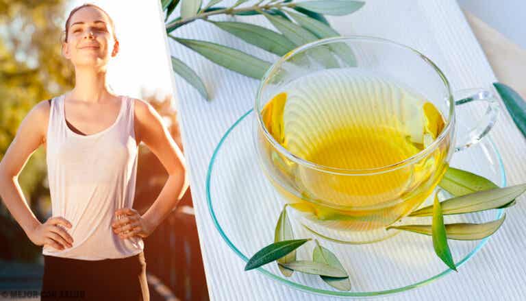 Descubre todos los beneficios de la hoja de olivo para tu salud