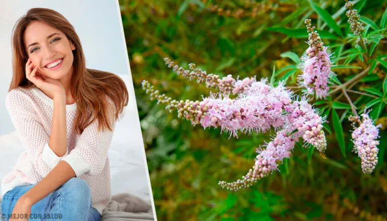 El sauzgatillo, un gran remedio natural para las mujeres