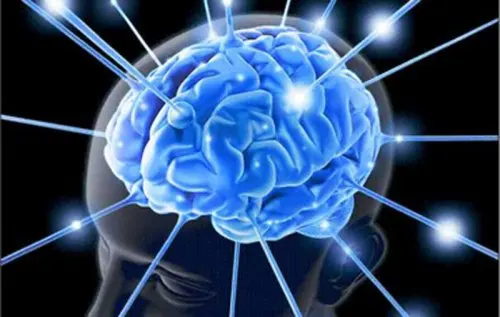 El sistema opioide interno