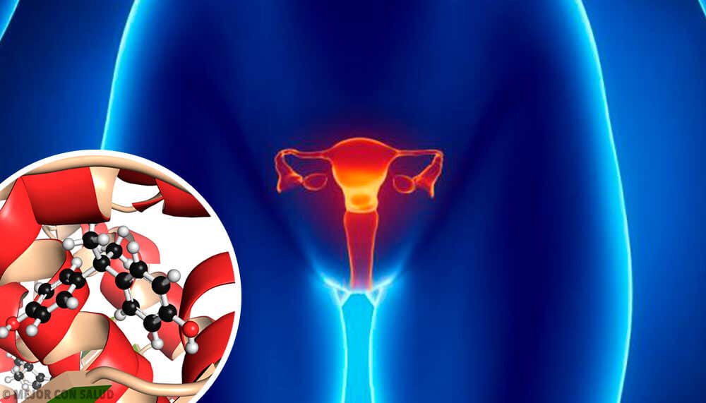 El estradiol es una de las 6 hormonas que intervienen en el ciclo de ovulación