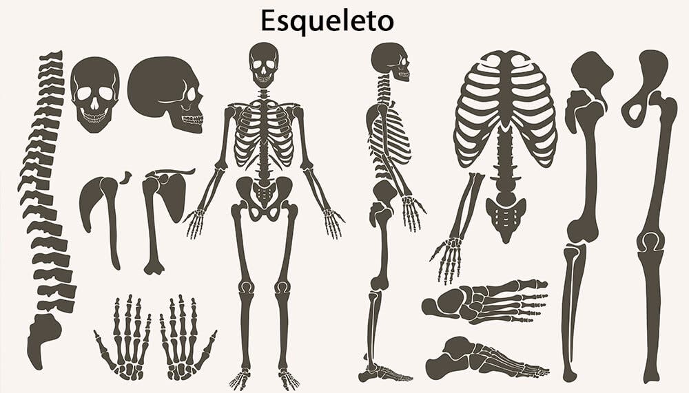 Some figure