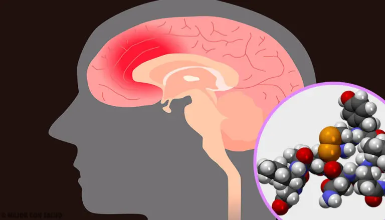 Hormona luteinizante: qué es y cómo actúa