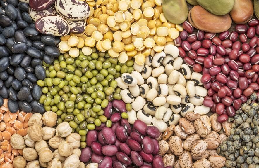 Qué otros nutrientes nos aportan las legumbres