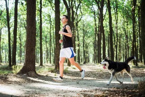 Saca a pasear o a correr a tu perro