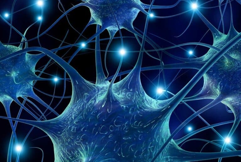 Serotonina: qué es y cómo actúa