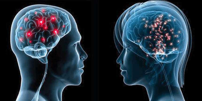 Síntesis y regulación de la hormona luteinizante