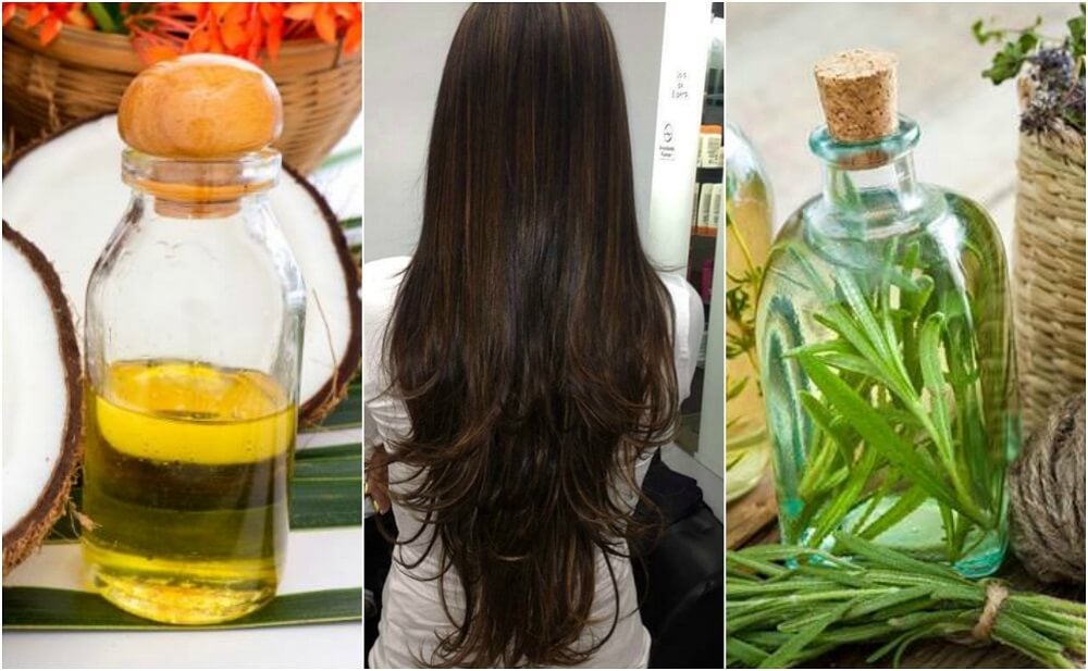 Tratamiento casero de aceite de coco y aceite de romero para hacer crecer el cabello