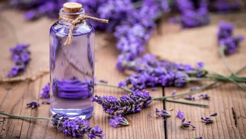 Aceite de lavanda.