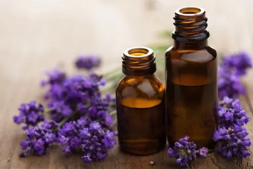 Aceite esencial de lavanda frente a las moscas.