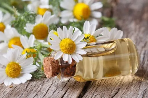 aceite de manzanilla para la alergia de la piel